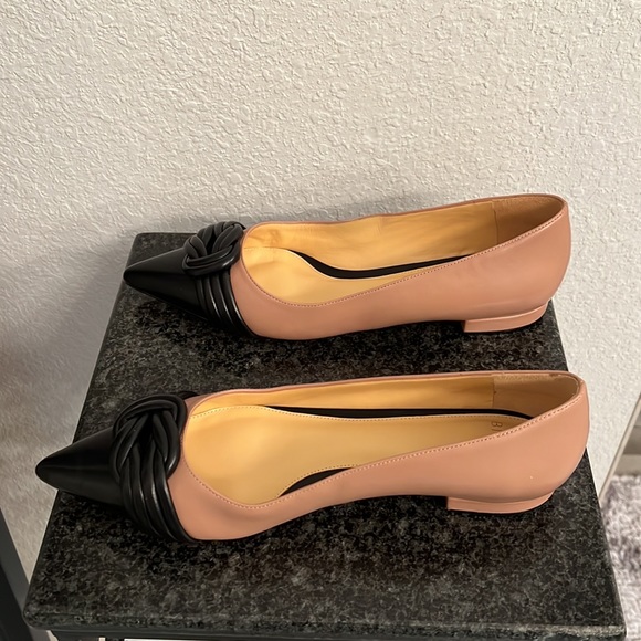 Alexandre Birman Vicky Ballerina Flat - Picture 8 of 9